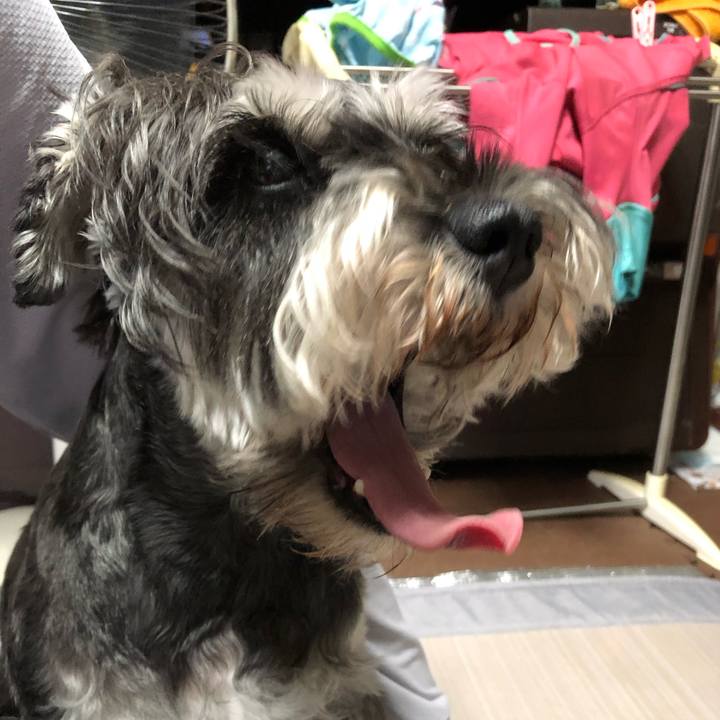 560b668a 2d4e 4321 a671 a50088766fcd 1625968474834