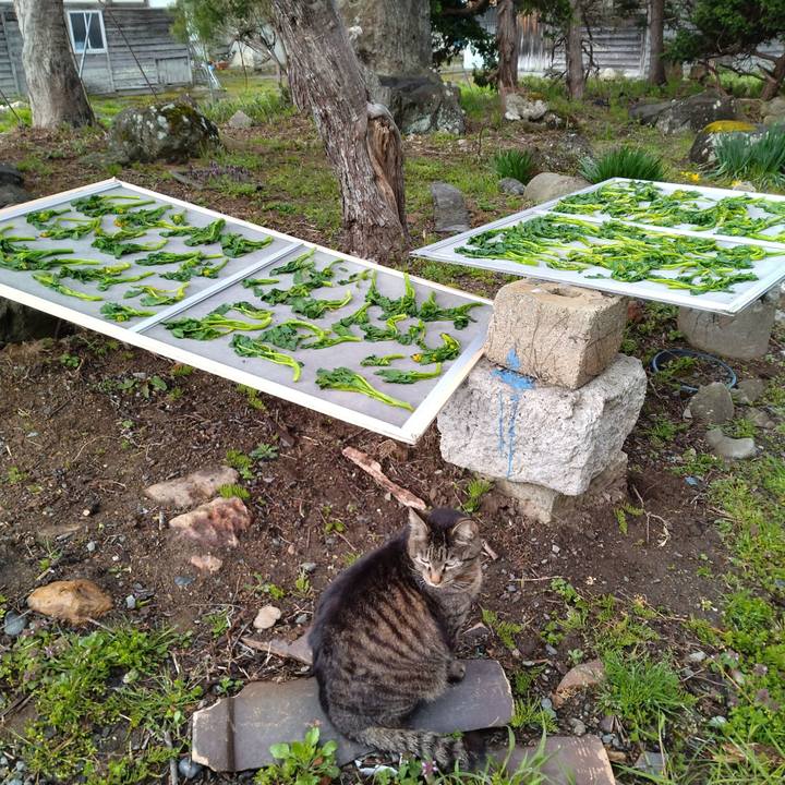 560b6c3c 4181 4cd5 a102 936e023ee53d 1681861731284