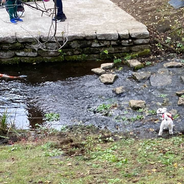 560b731b defc 48b4 8739 830e3b0aef1a 1604915189342