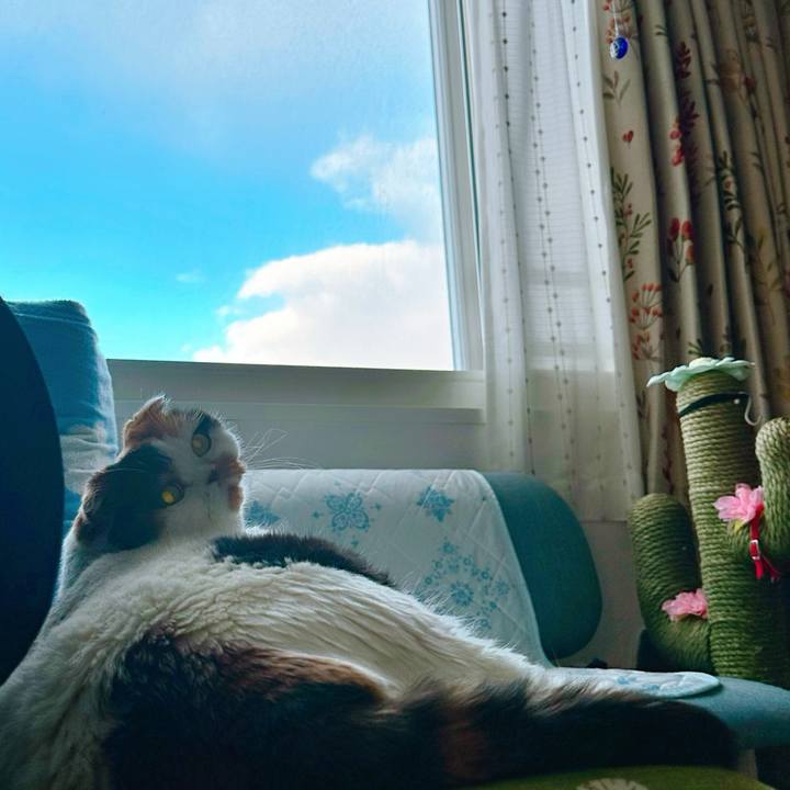 560ba094 f06a 4c63 9d48 ef00404a7ad7 1731987227250