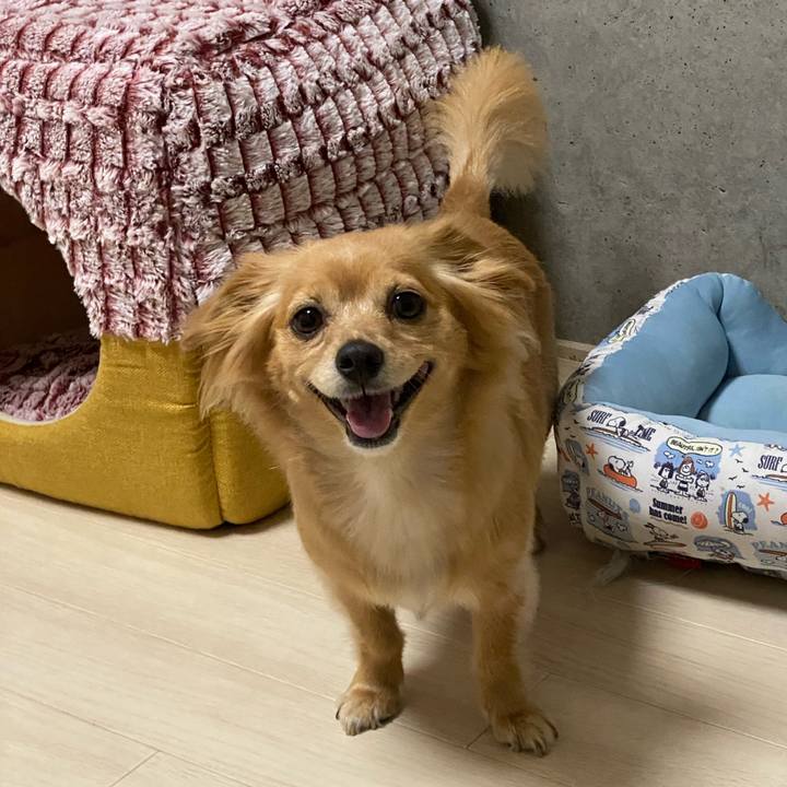 560bb340 47cc 4032 8dd7 70e8c63ff2e8 1631533865981