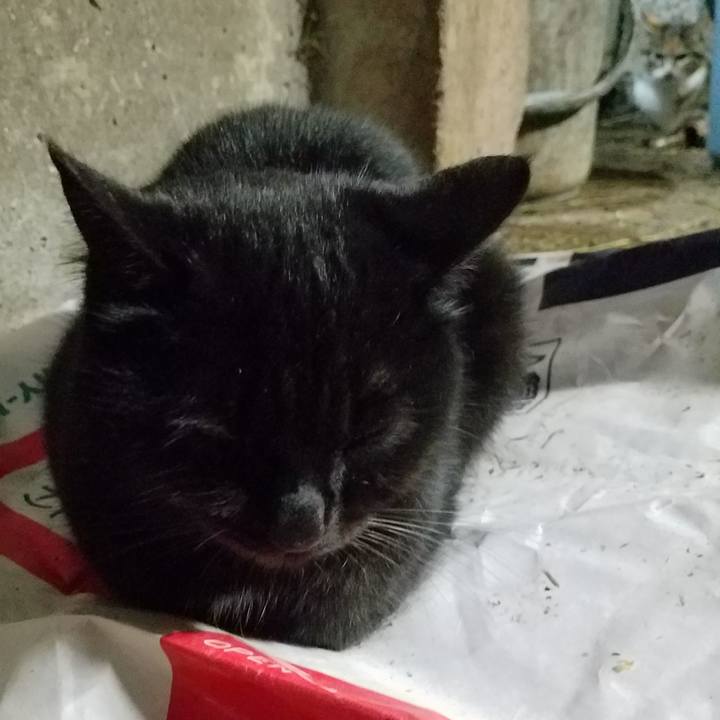 560bb766 1006 4b91 8c86 bb24e08f493d 1512077982102