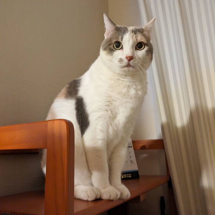 560bbc2c 9c25 47a0 bd53 7565d1bf3c2d 1700192664540