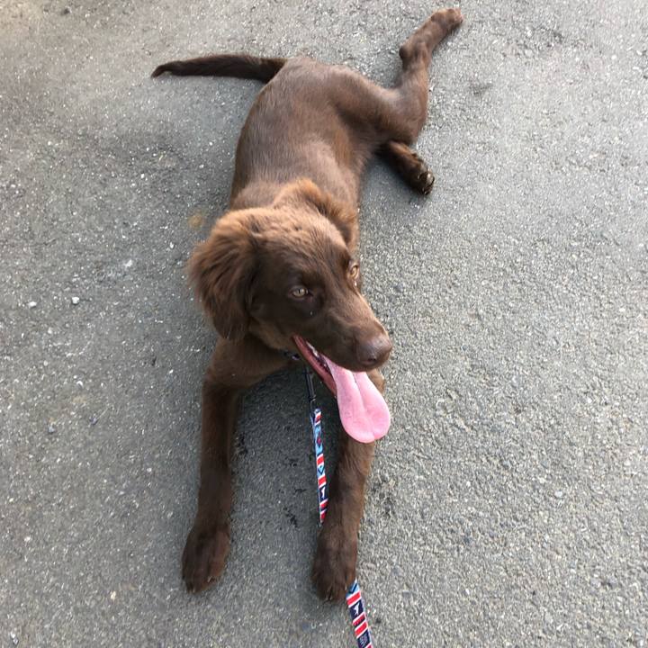 560bbec1 366c 47cd b520 d9ae91700d7b 1557998206559