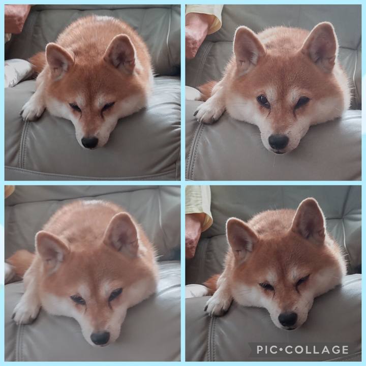 560bf933 5842 4c47 ab9d 3e581ce2c305 1759296790097