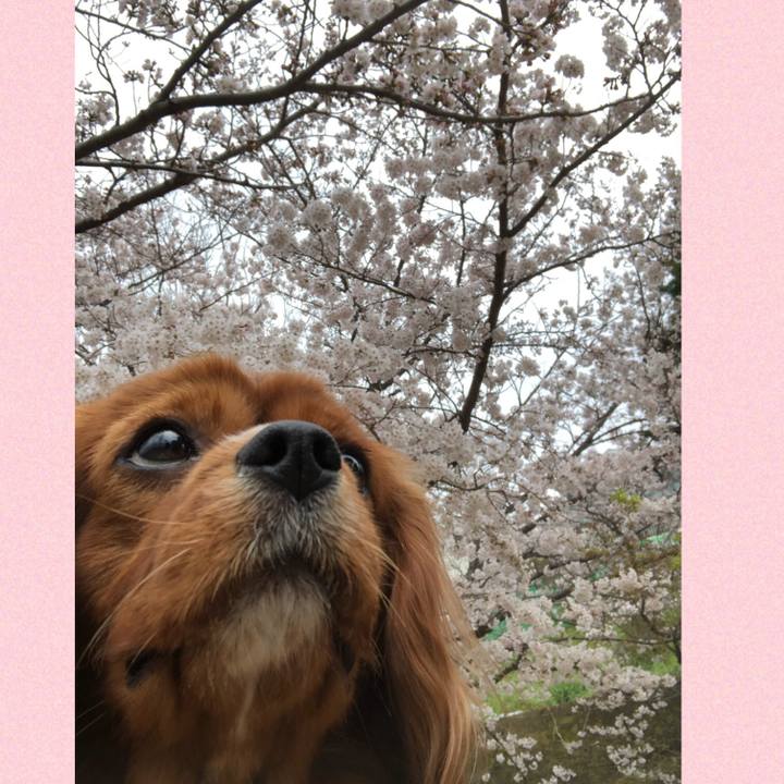 560c047f bc71 4d5c a9f3 fdfdc2983df5 1585358030437