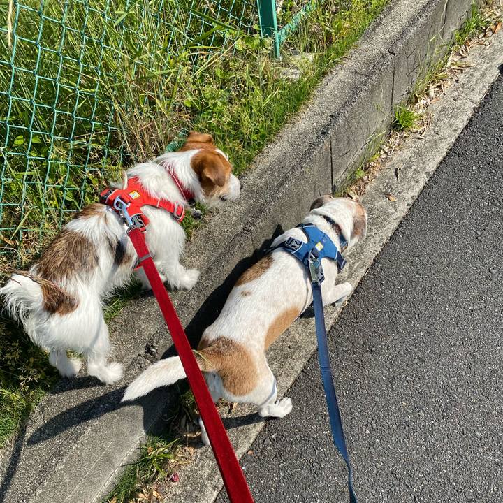 560c26db 3264 4116 b27b 077774fb1b35 1651710764373