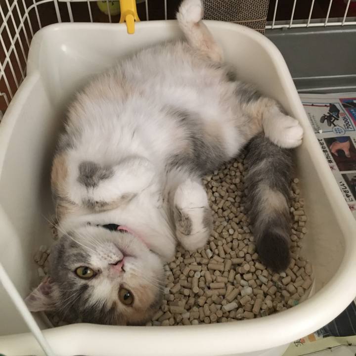 560c5407 97f6 4954 93ea ef5c683cae15 1625474664551