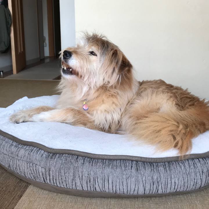 560c62b6 80e7 46cc a9a0 9cdc55f5e27a 1586000774539