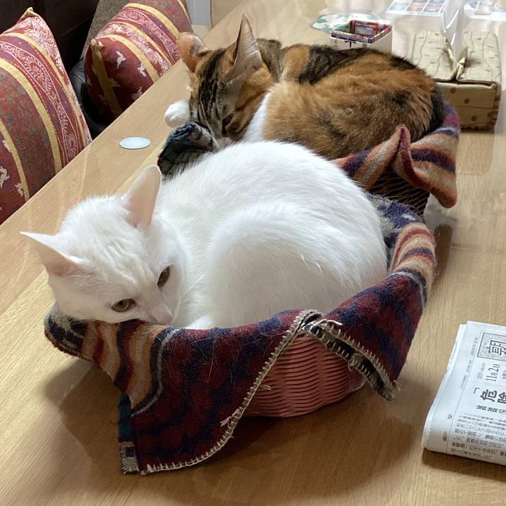 560c7956 cfe8 494c 877c 17299921064f 1667349993998