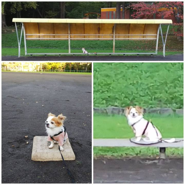 560c9619 0b80 445b 979e e1326af830ea 1539007697015