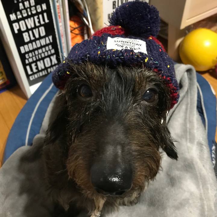 560ca210 3126 470e 9d8b fda828a800f2 1540993604333