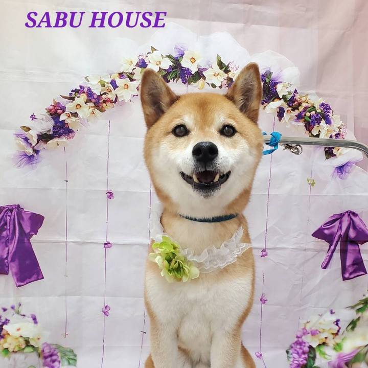 560cac39 3523 4b78 9269 6b430a6695e9 1686549873243