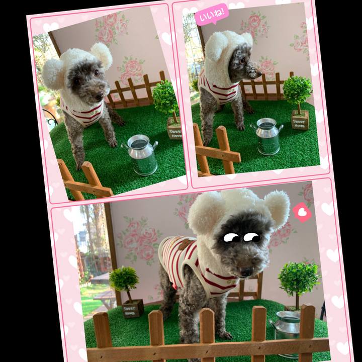 560ce14b 4ca8 4634 87f7 3a34a1081434 1607420467218