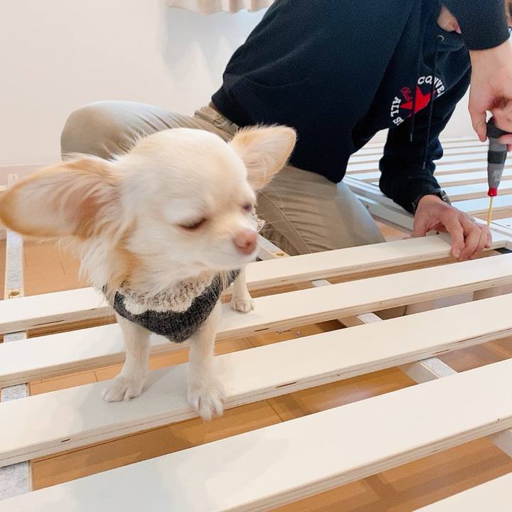 560d03e7 79f6 4a10 92aa ef9dd4d6933d 1610780176944