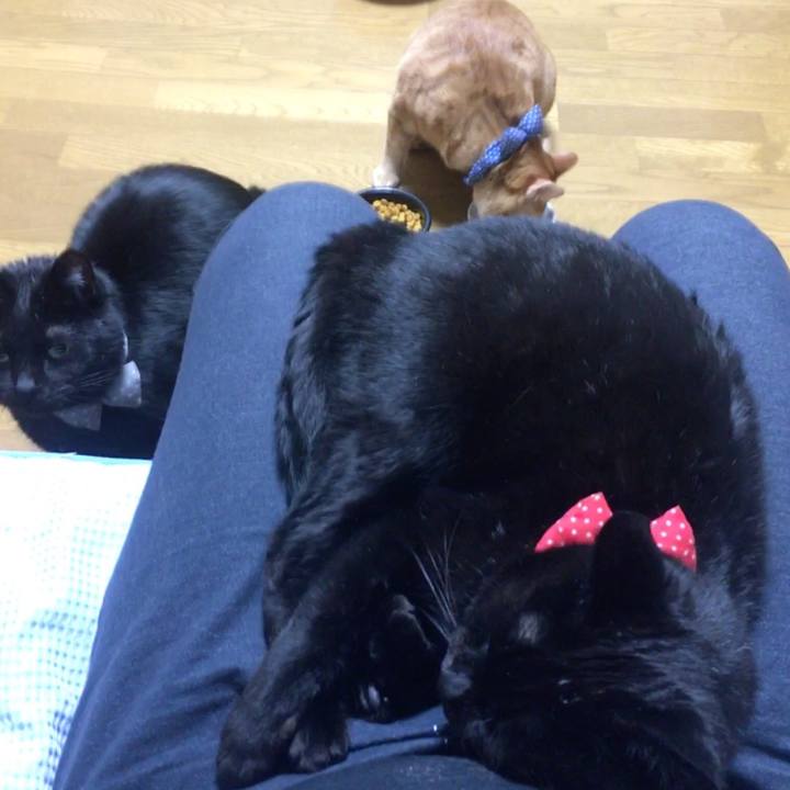 560d30dd e6a2 40ca a1ce 9ab549257cd0 1544701184253