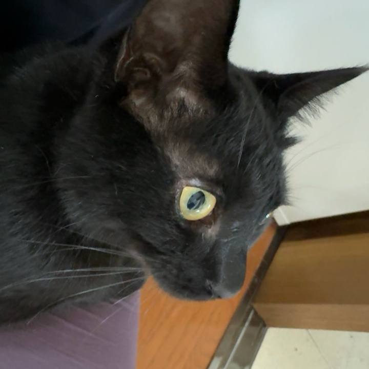 560d5333 6e78 452a 9e3f 6827c2854595 1746850756369