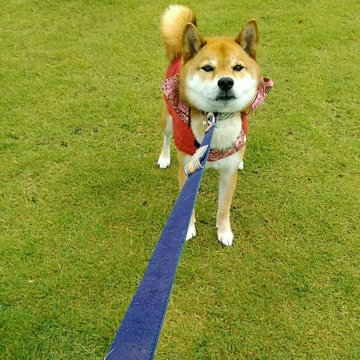 560d656d f47e 4b9c 8afd 3959f41d76cd 1561362372861