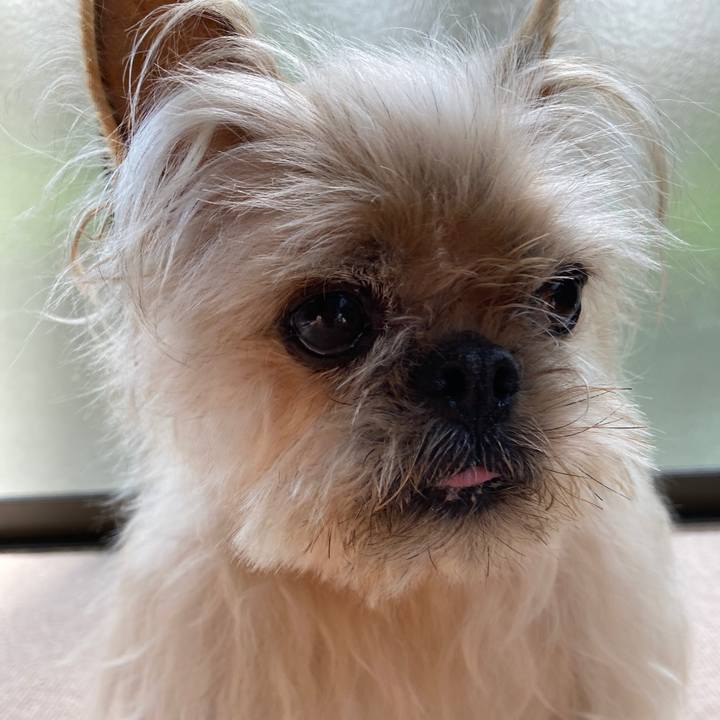 560d7394 fdf2 475c ad19 1d0d5c7237c5 1619999895700