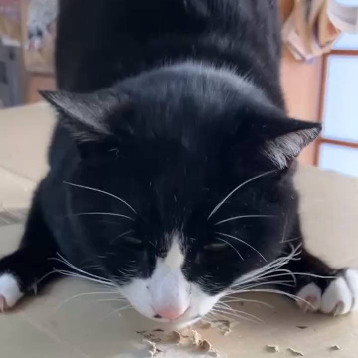 560db7d6 cb91 49c6 b1d0 4929102ab84b 1737168008604