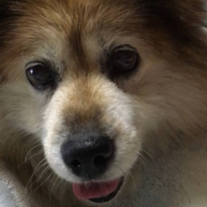 560dc16e 3190 45cf b0ee 3640e4d07de7 1634430324413