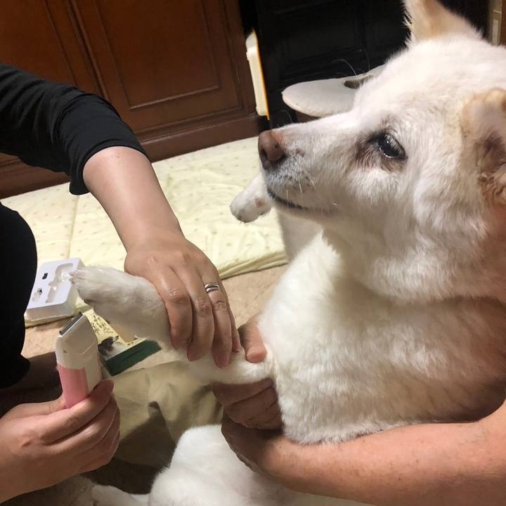 560de554 514c 4d7d b38a 461a02dbe54c 1725027511338