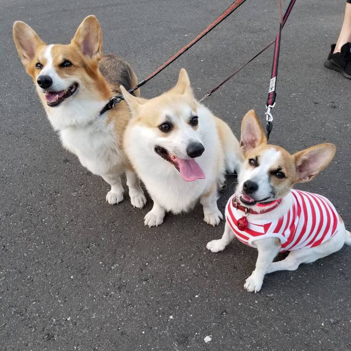 560e0b15 a13e 4b8b 89d5 55174552802f 1565045828185