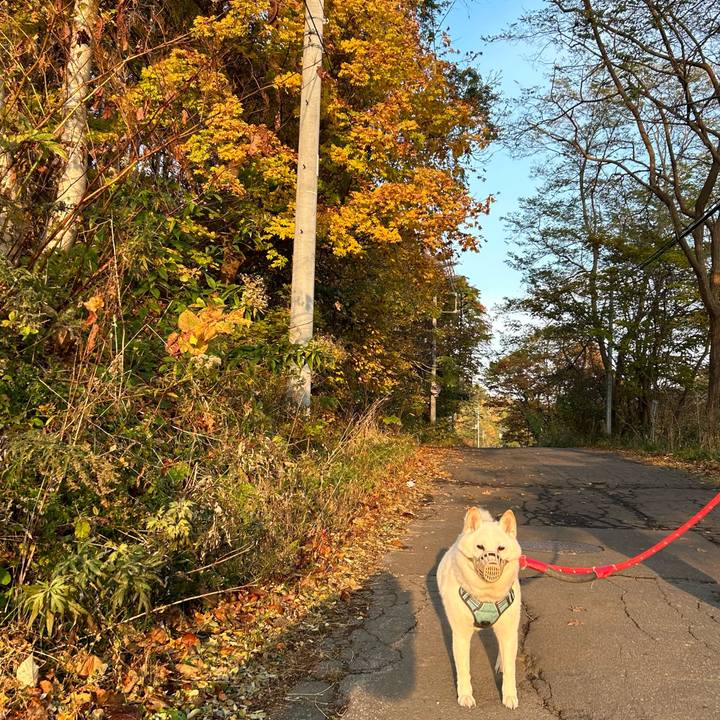 560e384e efa2 435c b7bc d63d40604b6b 1730241693958