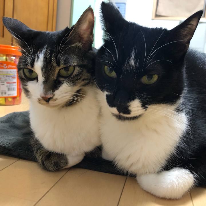 560e56d1 ff8f 4a96 92ae 909b588932f5 1550129410910