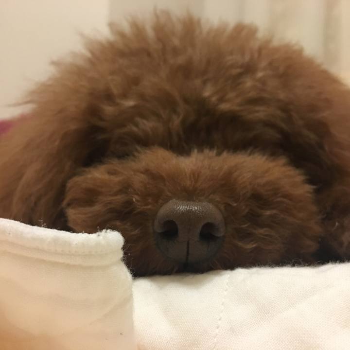 560e71fc a4b4 4c0a a3ed 85e7573d68ed 1527654251617