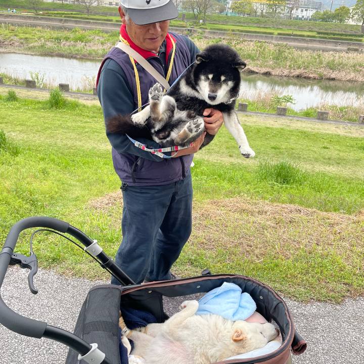 560e768c 9517 4141 98d1 c417dbd75b4a 1681911858943