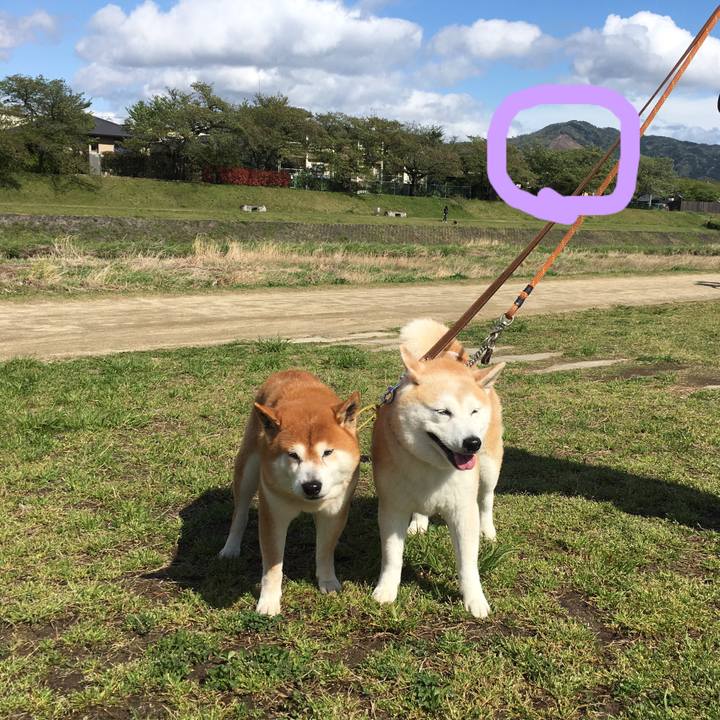 560f3656 3780 4be6 9ba0 66df65eff967 1523778638830