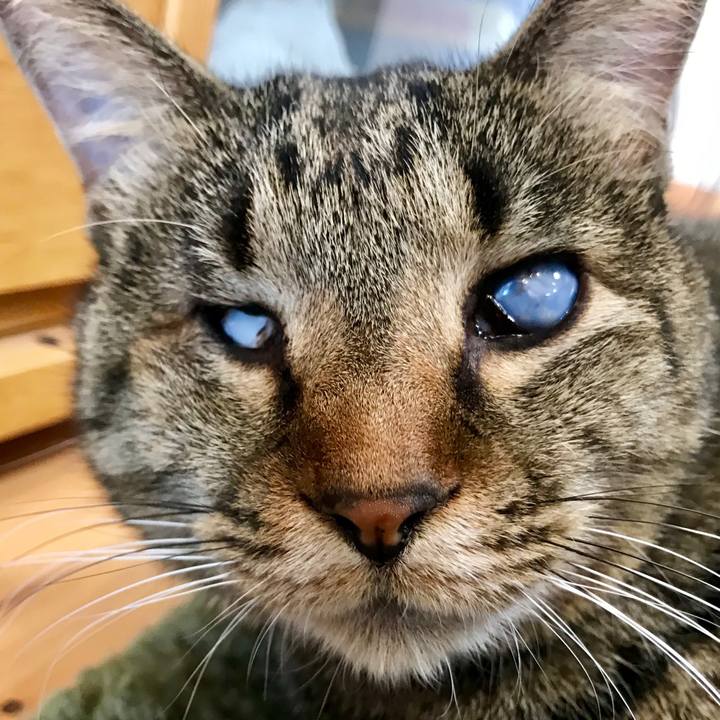 560f369c 728c 43b9 940e 80126fd46aaa 1547861943470