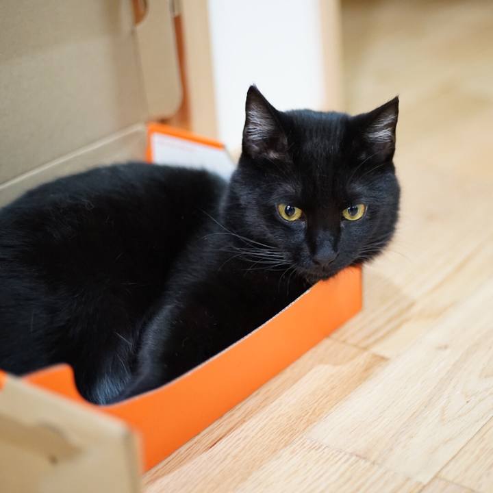 560f936b 6bb8 453f 931d 397448f5bf18 1521793380627