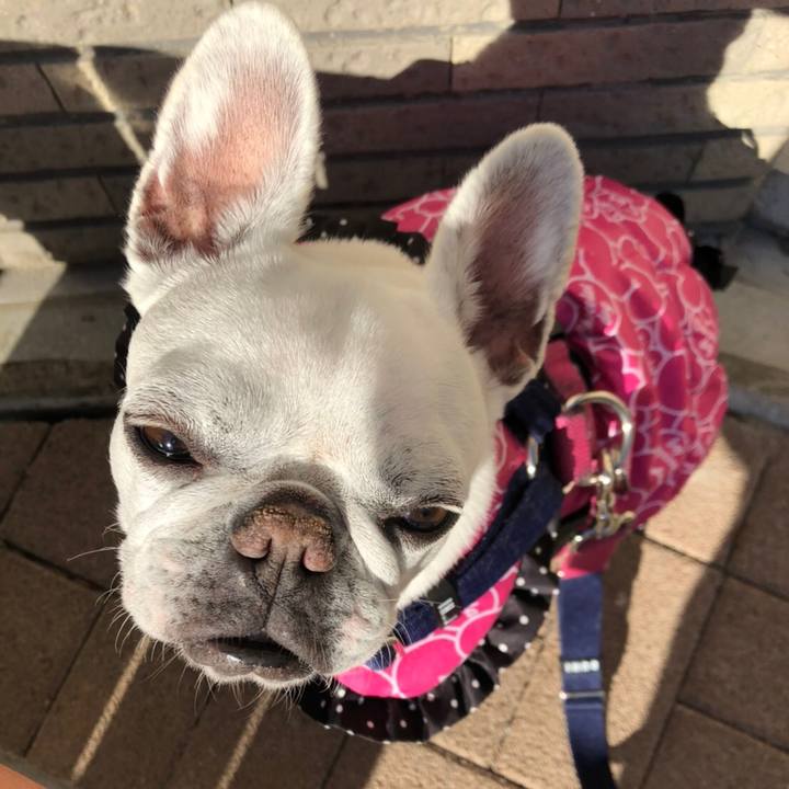 560f97e9 f856 4e6d b9cb e052ee843156 1611215484632