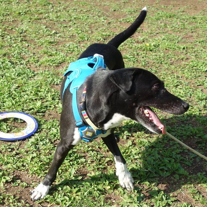 560f981a e097 4275 a16a 4f49de919c09 1618880126942