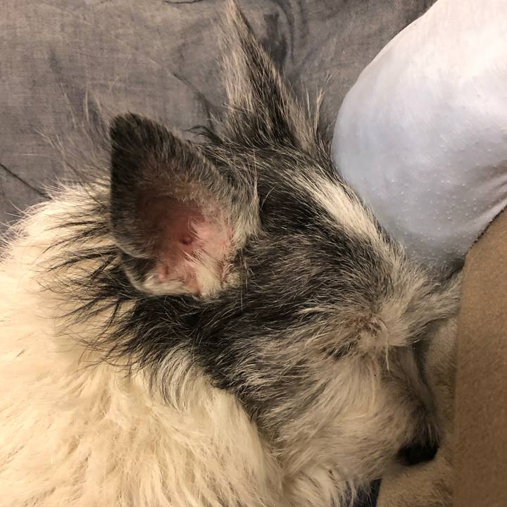 560fb0fc f096 41b7 b93a 8c314baa0dcf 1610374972072