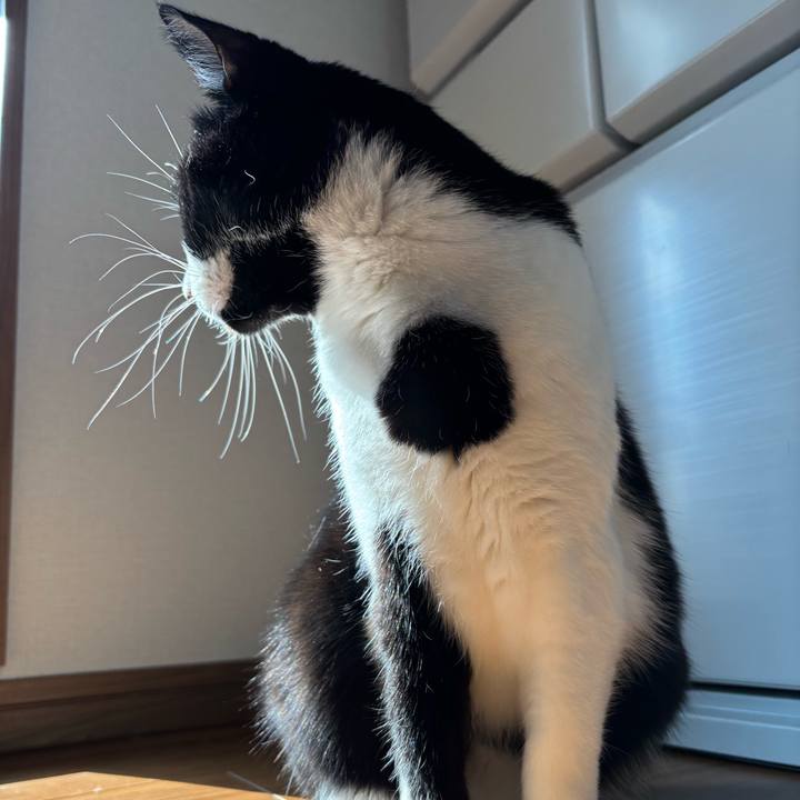 560fce78 3043 4e8a bd0f 346380558cf4 1769565144657