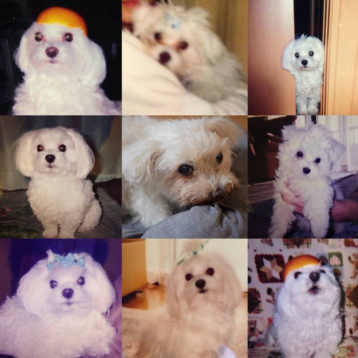 56101a16 2c7f 4447 b950 316b24410204 1508170492363