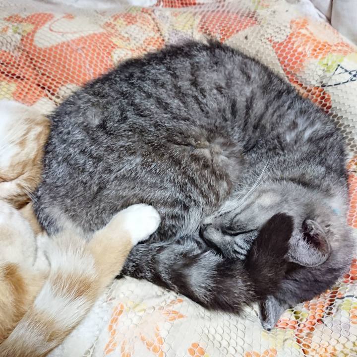 561036f1 d1c3 4003 9e14 561557f355f6 1571752201962