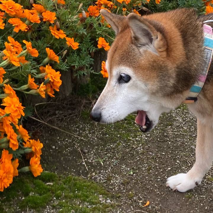 561037a1 0a9d 44ab 990c 4392f09985bc 1761017878397