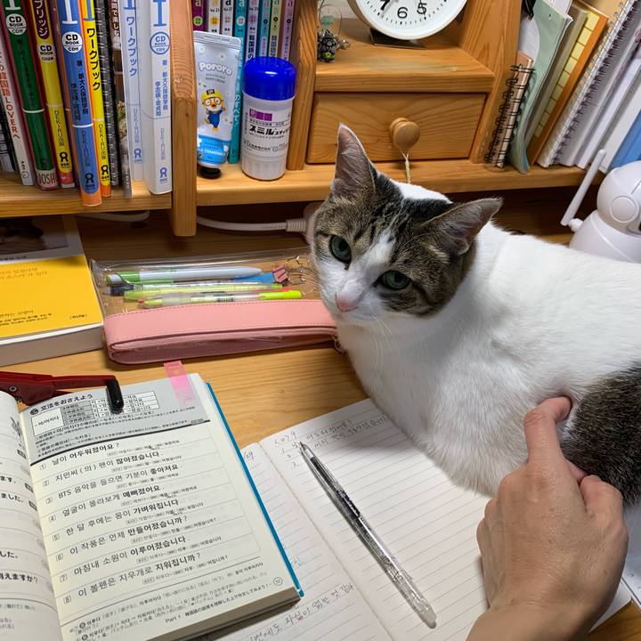 56107ef9 6932 454c a1b6 06cec51bc617 1638221814796