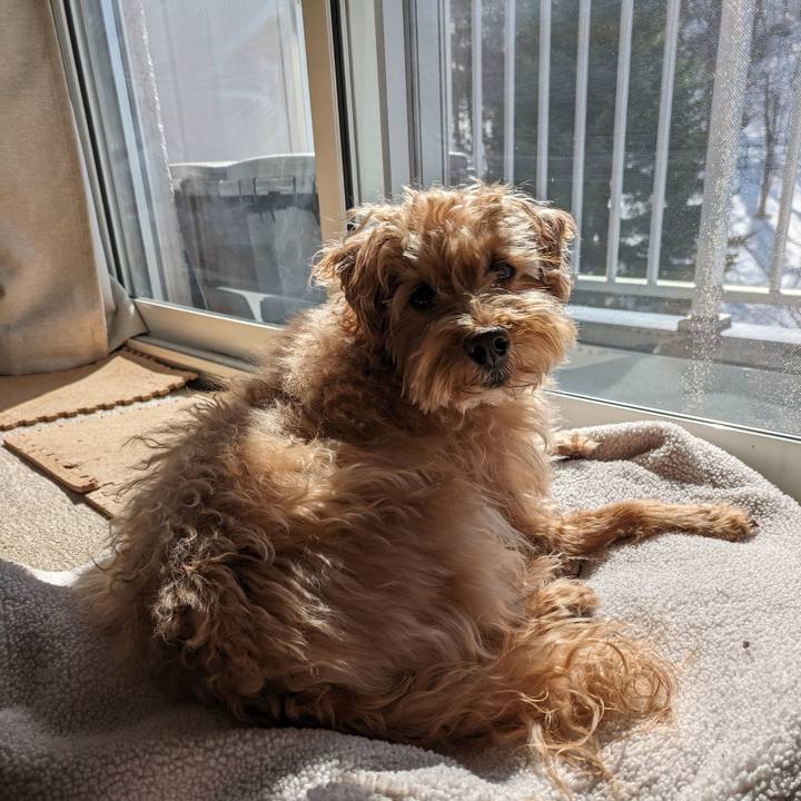 5610818d 4937 42ec 8c4b ae3d0559e934 1711861006434