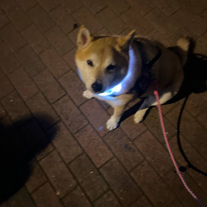 56108d1f eb08 4680 a1bb 0ec851bc21f1 1703325175143