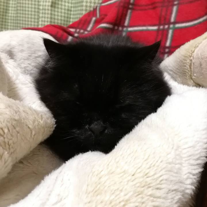 5610b184 bb8d 41c8 bdaa 42ca6827a613 1543445738542