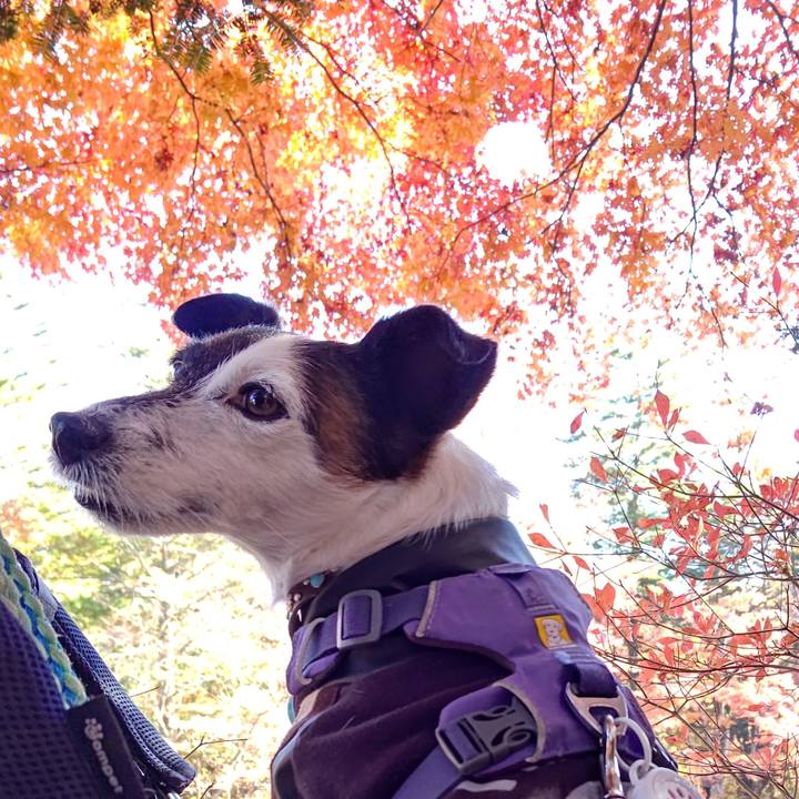 5610bd12 0bd8 4205 8ed7 89e9a4de7e2a 1667811866312