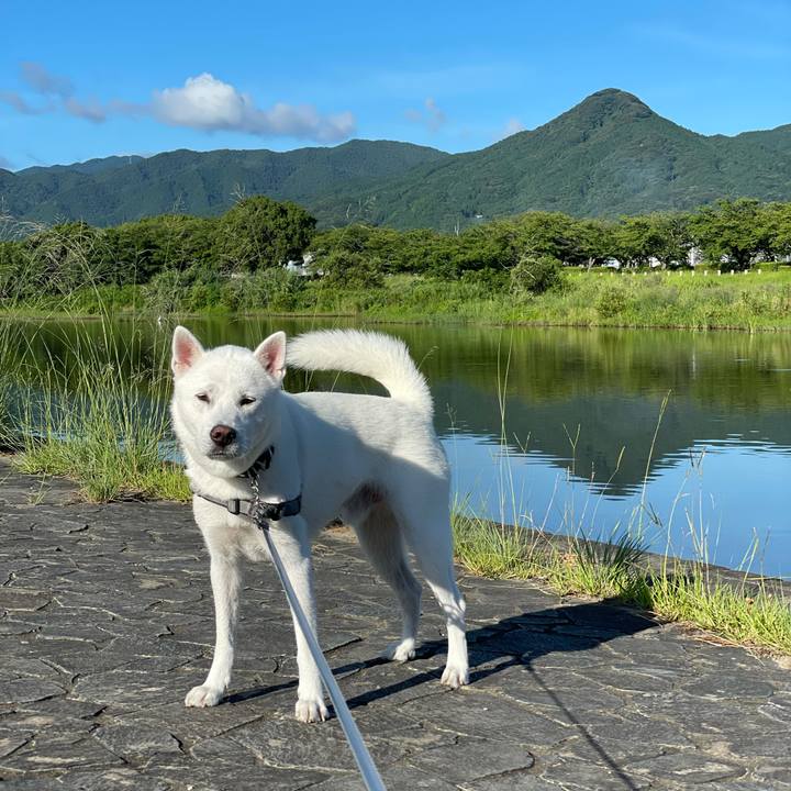 5610ec59 ceaa 4d19 9f7f 187f8037dee6 1626215323858