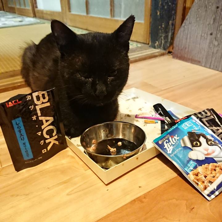 56111c29 55d7 4881 88a0 a8a9ad5d3ee9 1625574384255