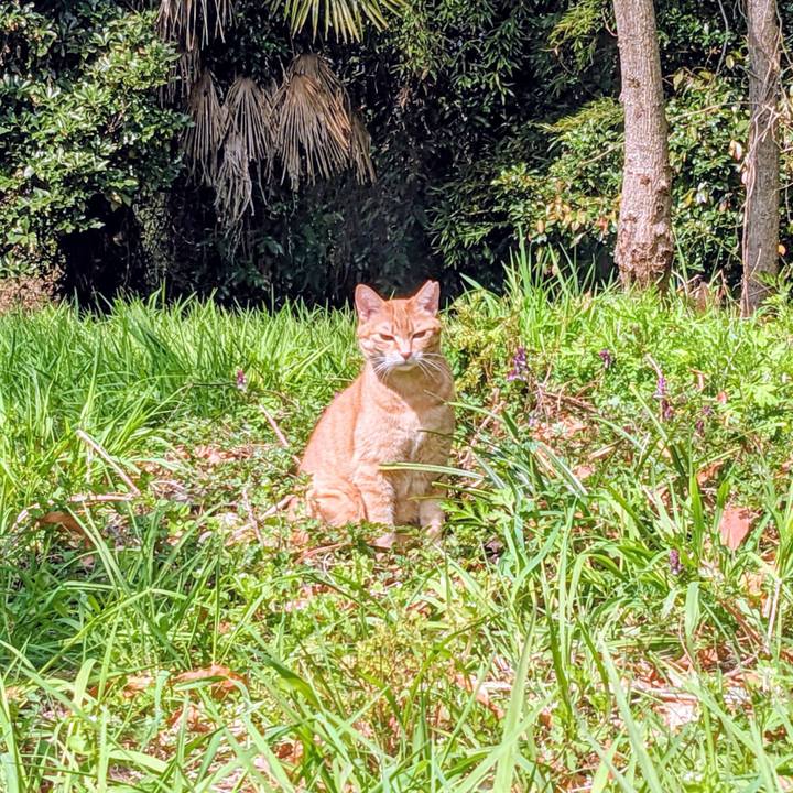 56113d93 c00d 4fdf ae0b 2c37e1af19c3 1774349415064