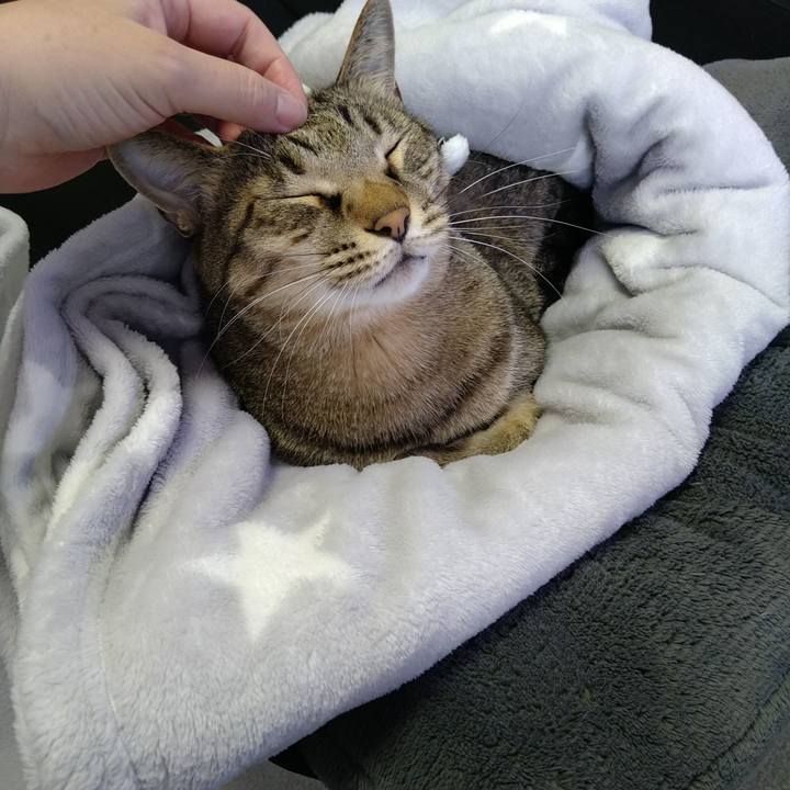 5611abaf 1a4d 4000 9a0d b52477811cc3 1697334848230